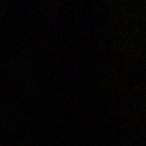 Meet your Posher, Warren